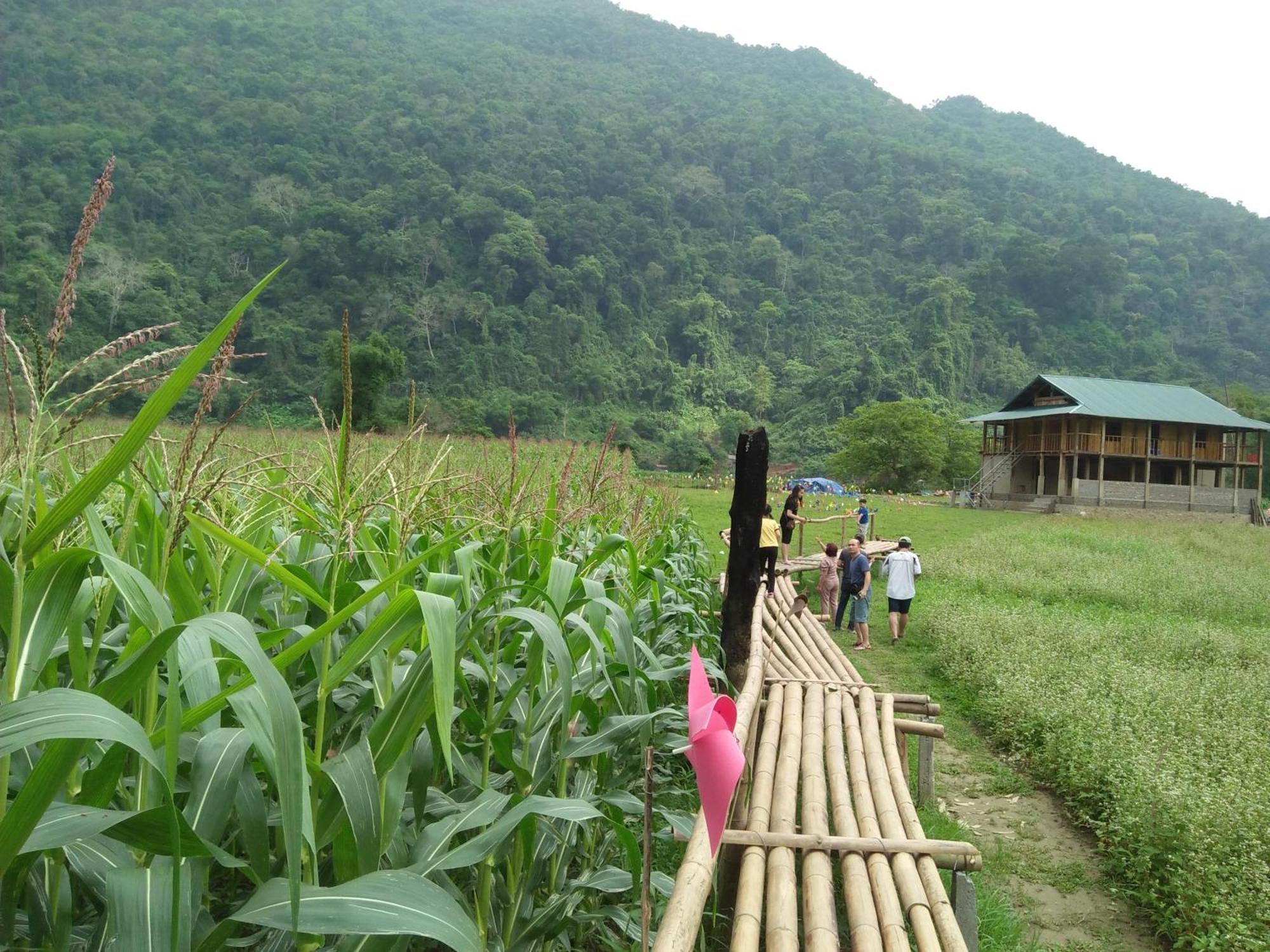 Tran Xuan Homestay Ba Be Экстерьер фото